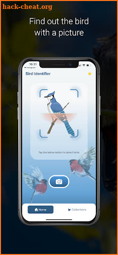 Bird Identifier - Picture Bird screenshot