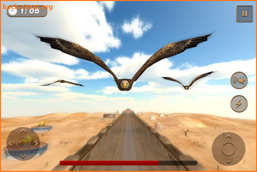 Bird Racing Simulator: Eagle Race Game screenshot