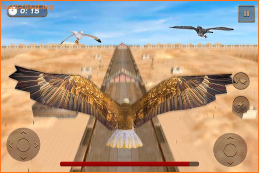 Bird Racing Simulator: Eagle Race Game screenshot