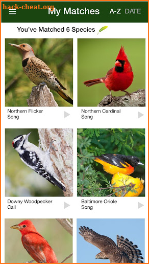 BirdGenie: ID Birds by Song screenshot