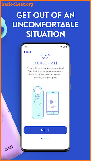 Birdie+ screenshot