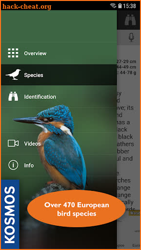 Birds of Europe: Identification, habitat, calls screenshot