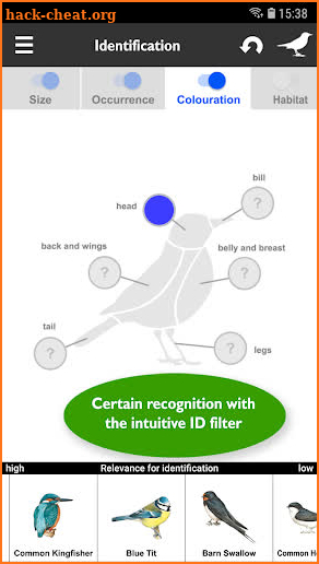 Birds of Europe: Identification, habitat, calls screenshot