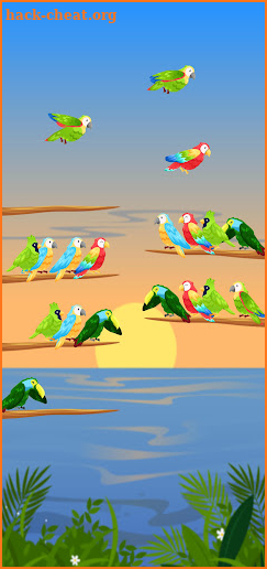 Birds Sort: Puzzle Game screenshot