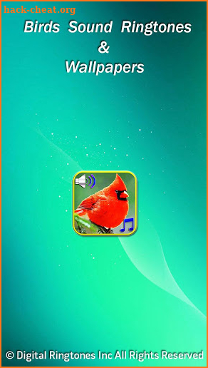 Birds sound ringtones & wallpapers screenshot