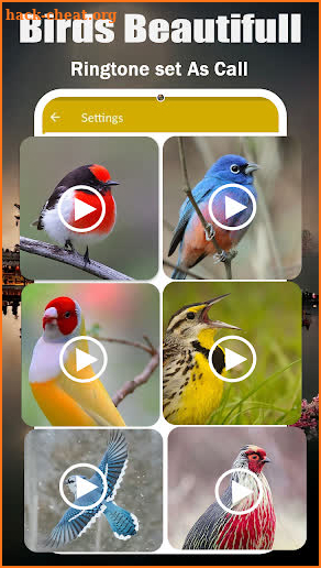 Birds Sounds & Birds Ringtones screenshot