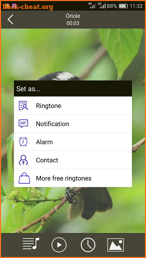 Birds Sounds Ringtones & Wallpapers screenshot