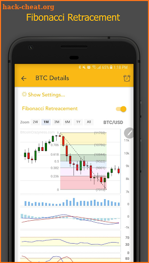 Bitcoin Crazyness Alerts and Portfolio screenshot