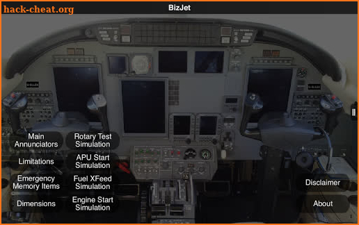 BizJet screenshot