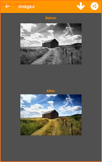 Black and White Photo Colorizer - Chromatix screenshot