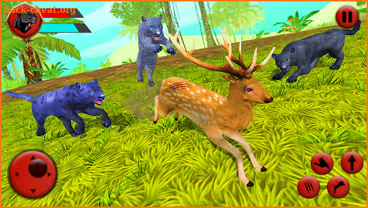 Black Panther Sim Game- Wild Animal Simulator 2021 screenshot