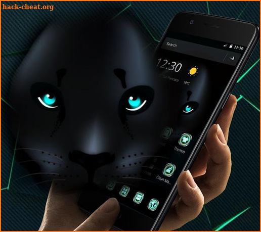 Black Tech Leopard Theme screenshot