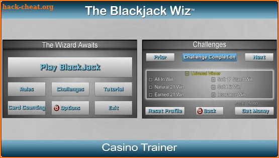 Blackjack Wiz Casino Trainer screenshot