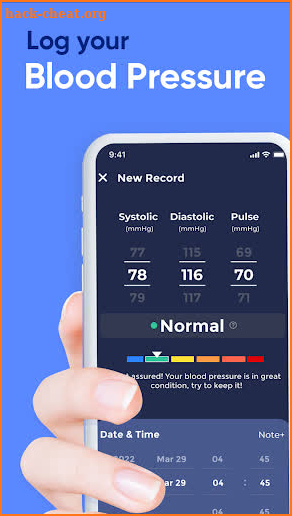 Blood Pressure Recorder screenshot