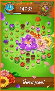 Blossom Blast Saga screenshot