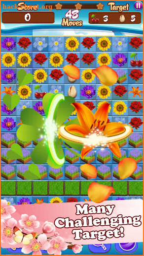 Blossom Crush screenshot