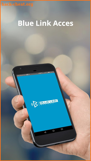 BlueLink Acces screenshot