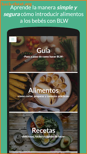 BLW Ideas App screenshot