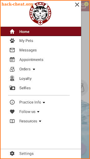 Boise Cat Clinic screenshot