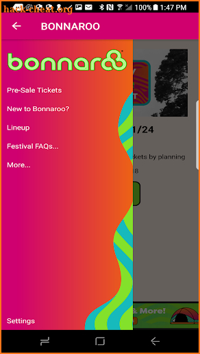 Bonnaroo screenshot