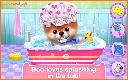 Boo - The World's Cutest Dog screenshot