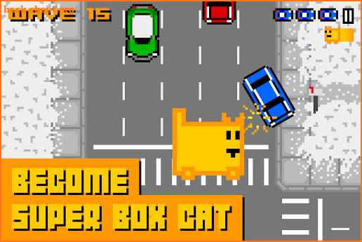 Box Cat screenshot