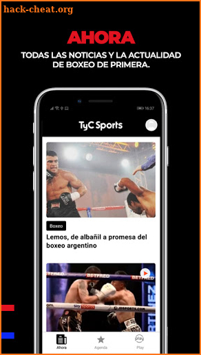 Boxeo de Primera screenshot