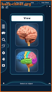 Brain Anatomy Pro. screenshot