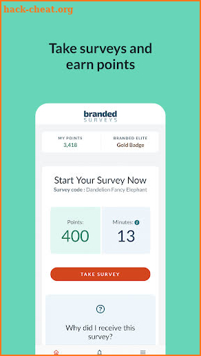 Branded Surveys screenshot