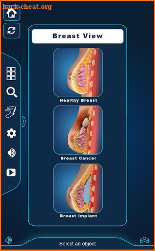 Breast Anatomy screenshot