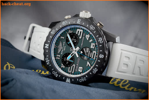 Breitling 1884 Endurance Pro screenshot