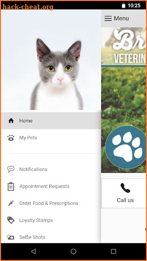 Brush Run Vet Clinic screenshot