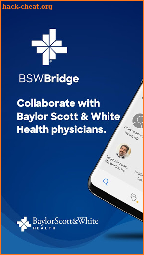 BSWBridge screenshot