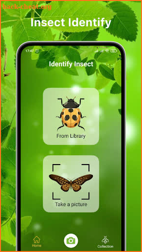 Bug Identifier Bug Finder screenshot