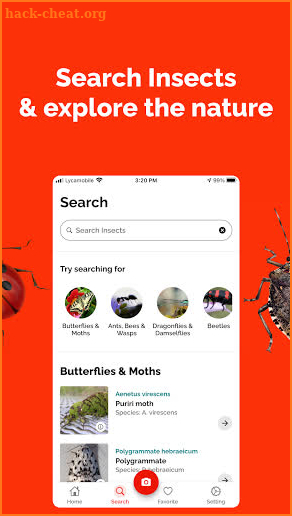 Bug Identifier - Insect identification screenshot