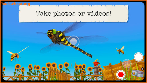 Bugs & Insects (Full version) screenshot