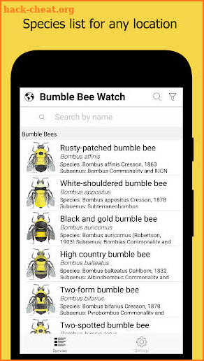 Bumble Bee Watch screenshot