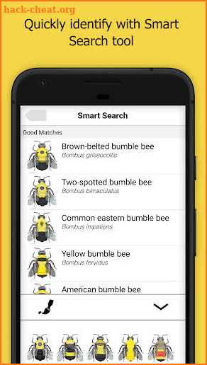 Bumble Bee Watch screenshot