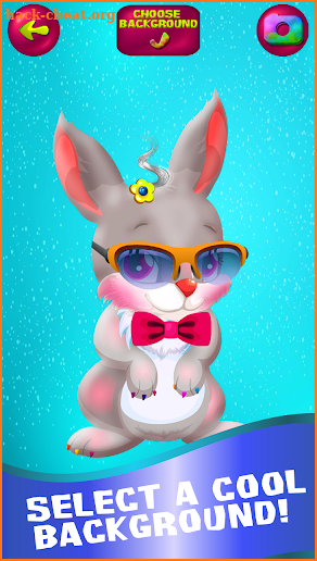 Bunny Pet Wash Salon screenshot