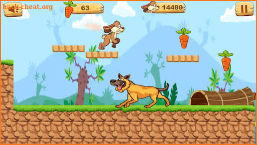 Bunny Run:Jungle Rabbit screenshot