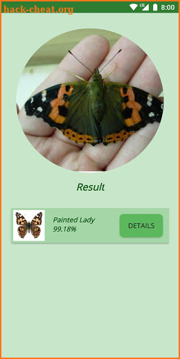 Butterflies: Identification, Information Lookup screenshot