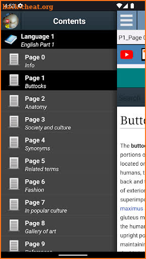 Buttocks Anatomy screenshot