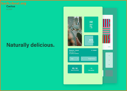 Cactus KLWP screenshot