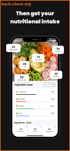 CalDiet-AI Food Scanner screenshot