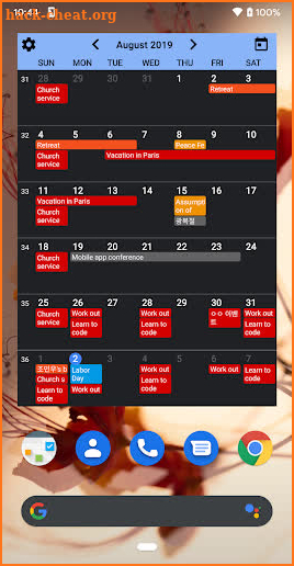 Calendar Widgets : Month Agenda calendar widget screenshot