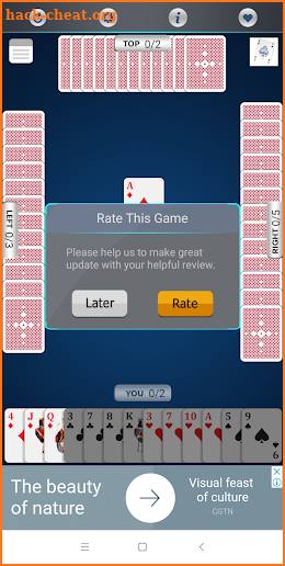 CALL-BRIDGE Cards game screenshot