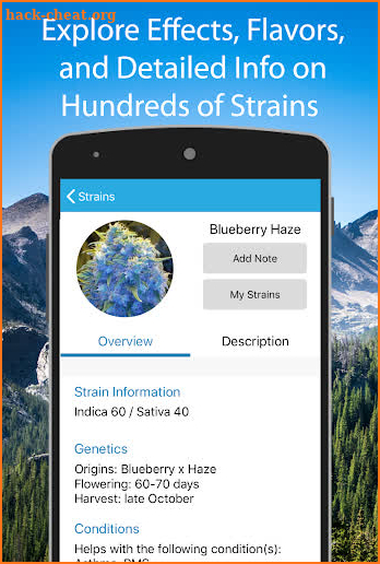 Cannabis Strain Guide screenshot