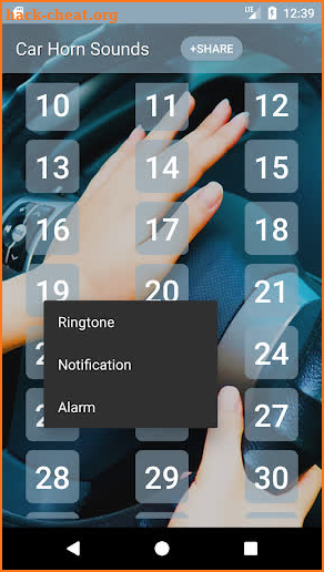 Car Horn Sounds screenshot