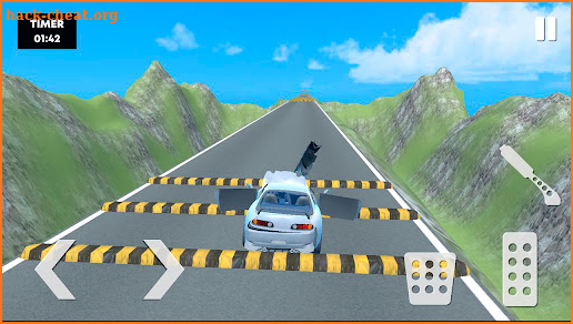 Car VS Speed Bump Car Crash screenshot