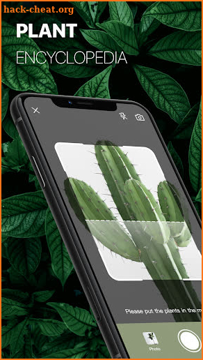 Carlota Camera - What plant are you? screenshot